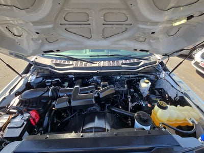 2019 Ford Super Duty F-250 Pickup XL