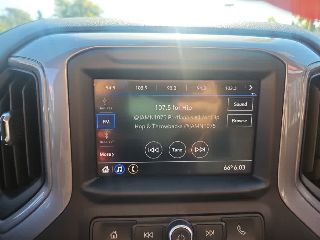 2020 Chevrolet Silverado 1500 Custom Trail Boss