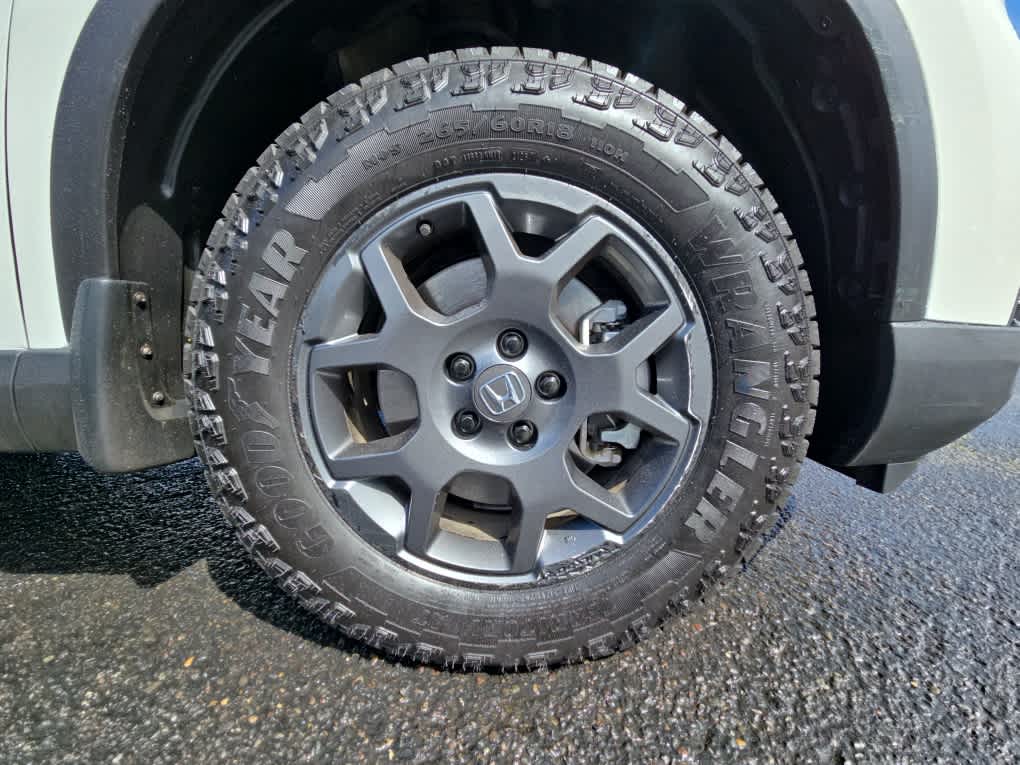 2025 Honda Pilot TrailSport