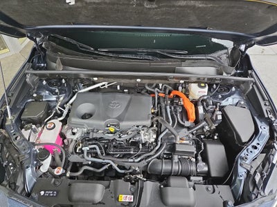 2024 Toyota Venza XLE