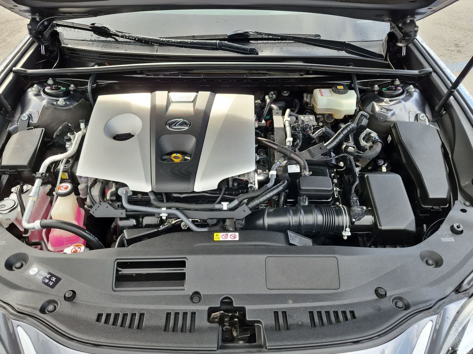 2019 Lexus ES 300h 
